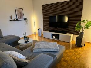 uma sala de estar com um sofá e uma televisão de ecrã plano em XXL Ferienwohnung - Terrasse - Haustiere willkommen - Top Ausstattung - bis 8 Personen em Ahausen