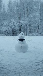 uma estátua de um boneco de neve sentada na neve num campo em Villa Arctic Light em Rovaniemi