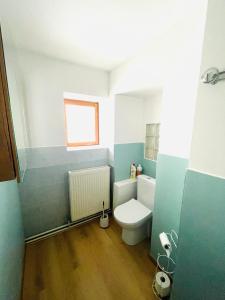 ein Bad mit einem WC und einem Fenster in der Unterkunft Au 81 - maison de ville à louer in Moirans