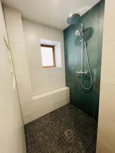 ein Bad mit einer Dusche und einer Glastür in der Unterkunft Au 81 - maison de ville à louer in Moirans