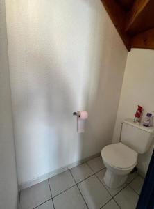een badkamer met een toilet en een rol toiletpapier bij Bel appartement avec place de parking privée, piscines in Vendres