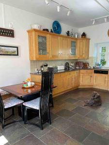 a kitchen with a dog laying on the floor at Marlacoo House Luxury Georgian home in Portadown