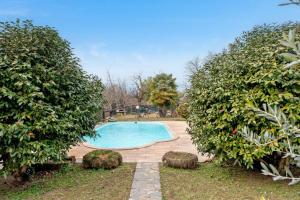 einen Pool in einem Garten mit zwei großen Bäumen in der Unterkunft Un bell incontro in Borgo Ticino