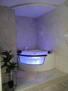 Bagno di Apartmani Sofronic Loznica 2