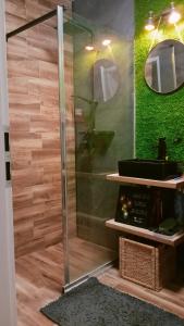 a shower in a bathroom with a green wall at Golf Green Resort in Hrubá Borša