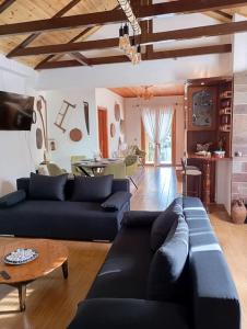 ein Wohnzimmer mit einem blauen Sofa und einem Tisch in der Unterkunft La Nature in Konístrai