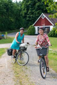 zwei Frauen reiten Fahrrad mit einem Hund im Korb in der Unterkunft Brösarp Källagården Lilla Gårdslägenheten in Brösarp
