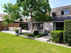 a house with a tree in the yard at Bosrand81 in Hechtel