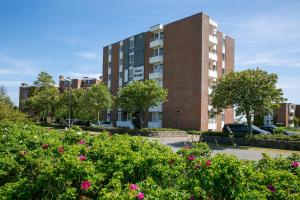 a building with pink flowers in front of a building at Ferienwohnung Hooge 30 in Wyk auf Föhr