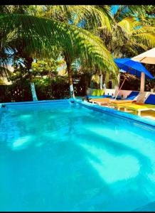 卡塔赫納的住宿－Eco hotel summer beach，一个带椅子和棕榈树的大型蓝色游泳池