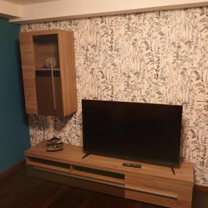 a flat screen tv sitting on top of a entertainment center at FeWo Elmo's Nest in Altenau