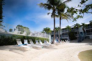 a row of chairs and palm trees on a beach at Overlooking Saltwater Lagoon Free Golf Cart-Kayaks in Key Largo