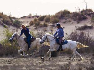 dos personas montando a caballo en el desierto en Appartement Le Grau-du-Roi, 3 pièces, 6 personnes - FR-1-307-135, en Le Grau-du-Roi