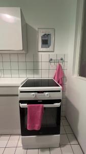 a kitchen with a stove with a pink towel at Kato Flat Center in Katowice