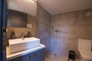 uma casa de banho com um lavatório, um chuveiro e um WC. em Oculus Dafni Loft A em Atenas