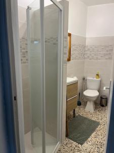 La salle de bains est pourvue d'une douche, de toilettes et d'un lavabo. dans l'établissement L Abri-côtier Appartements, à Saintes-Maries-de-la-Mer
