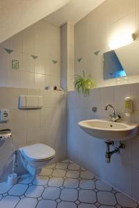 La salle de bains est pourvue d'un lavabo et de toilettes. dans l'établissement Landhaus Falkenstein, à Tambach-Dietharz