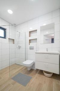 a bathroom with a toilet and a sink and a shower at Domki Maryla in Ostrowo