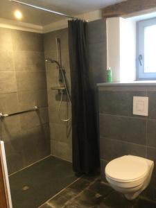 a bathroom with a shower with a toilet and a shower curtain at Maison Druyard huis met 5 slaapkamers in Durbuy