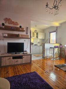 Kuchyň nebo kuchyňský kout v ubytování Apartmani NINA Zlatar