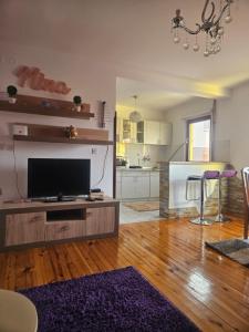 a living room with a flat screen tv on a entertainment center at Apartmani NINA Zlatar in Nova Varoš