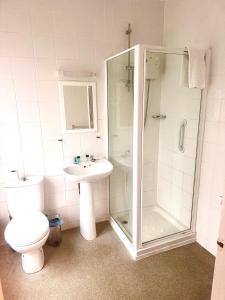 ein Bad mit einer Dusche, einem WC und einem Waschbecken in der Unterkunft The Wash & Tope in Hunstanton