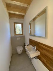 a bathroom with a toilet and a sink and a mirror at Ferienhaus Baiersbronn LUG INS TAL in Baiersbronn