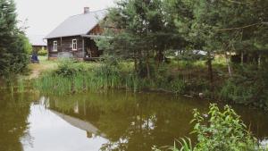 a house next to a river with a house at Uroczysko Grabowiec in Grabowiec +14 photos