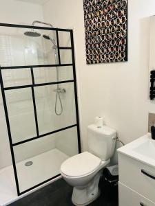 uma casa de banho com um WC branco e um chuveiro em La Cite No 25 superbe apartment plein centre calme ,Netflixl em Mirepoix