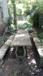 a wooden bench sitting in the middle of a forest at Casa de playa para vacacionar in Las Toscas