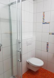 uma casa de banho com um WC e uma cabina de duche em vidro. em Landgasthof Hotel Hirsch em Marktlustenau