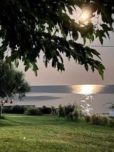 a view of the ocean from a park with a tree at Villa TERVEL in Xanthi