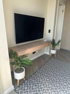 TV de pantalla plana en una pared con 2 plantas en Sandton Serenity: UltimateGetaway 2, en Johannesburgo