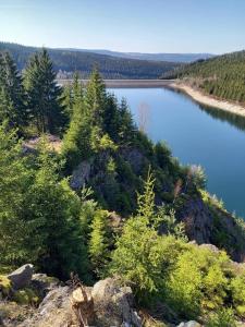 a view of a body of water with trees at Landhaus Falkenstein in Tambach-Dietharz