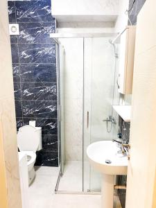 a bathroom with a shower and a toilet and a sink at Silver Apartment with private garage in Bar
