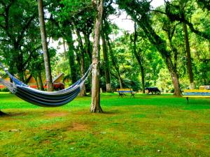 a hammock hanging from a tree in a park at VELINN Áustria Hotel Monte Verde in Monte Verde