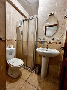 uma casa de banho com um WC, um lavatório e um chuveiro em HOTEL SEVEN PARK em Nevşehir