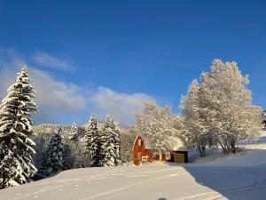 una cabaña en la nieve con árboles nevados en Solbergshyllan en Åre