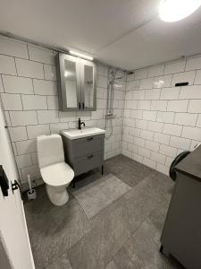 奧勒的住宿－Solbergshyllan，一间带卫生间和水槽的浴室