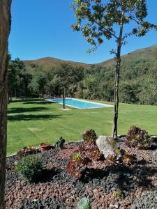 a garden with a tree and a swimming pool at Casa de Férias do Parque da Peneda 2 in Vila Verde