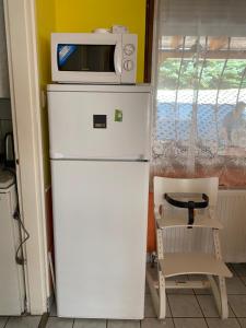 a microwave sitting on top of a refrigerator at Ili Vendégház in Zalakaros
