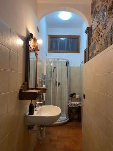 La salle de bains est pourvue d'un lavabo et d'une douche. dans l'établissement La piccola Corte, à Roncola
