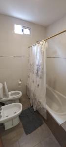 uma casa de banho com um WC, um lavatório e um chuveiro em Alemar Termas Hotel em Termas de Rio Hondo