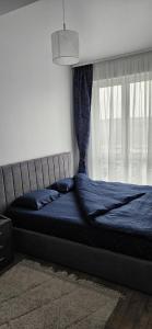 a bed in a bedroom with a window at Apartament lângă VIVO in Floreşti