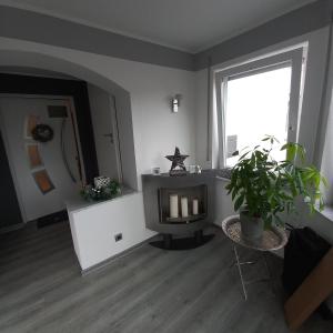 sala de estar con chimenea y ventana en Ferienwohnung Weinand, en Birresborn