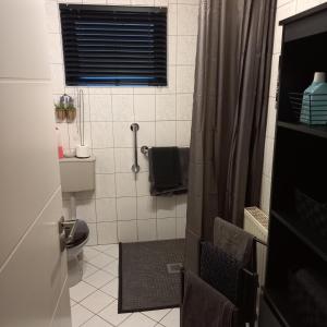 a bathroom with a toilet and a shower with a window at Ferienwohnung Weinand in Birresborn