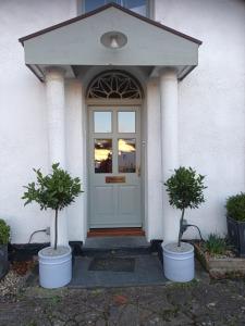 una porta d'ingresso di una casa bianca con due alberi in vaso di The Mount a Bideford