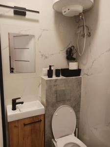 Kúpeľňa v ubytovaní Apartamenty Marco 3 przy Dworcu-Stare Miasto-Super Wi Fi