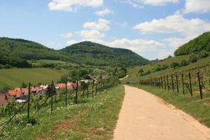 un camino de tierra a través de un viñedo en las colinas en Ferienwohnung Pimer en Ranschbach