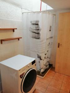 lavatrice in bagno con doccia di Mammut Apartments a Balve